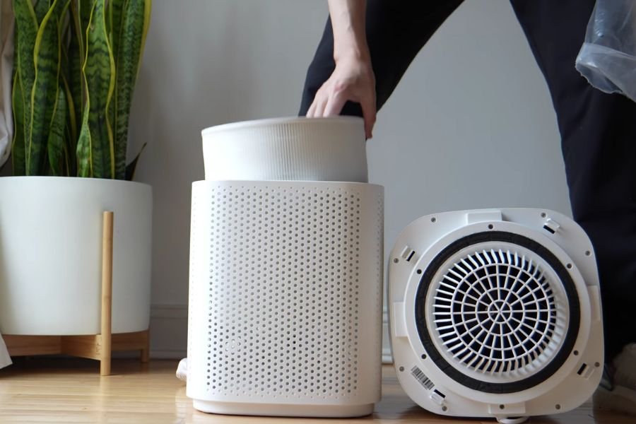 levoit air purifiers setup